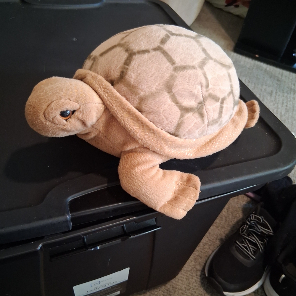 Plush Turtle Toy